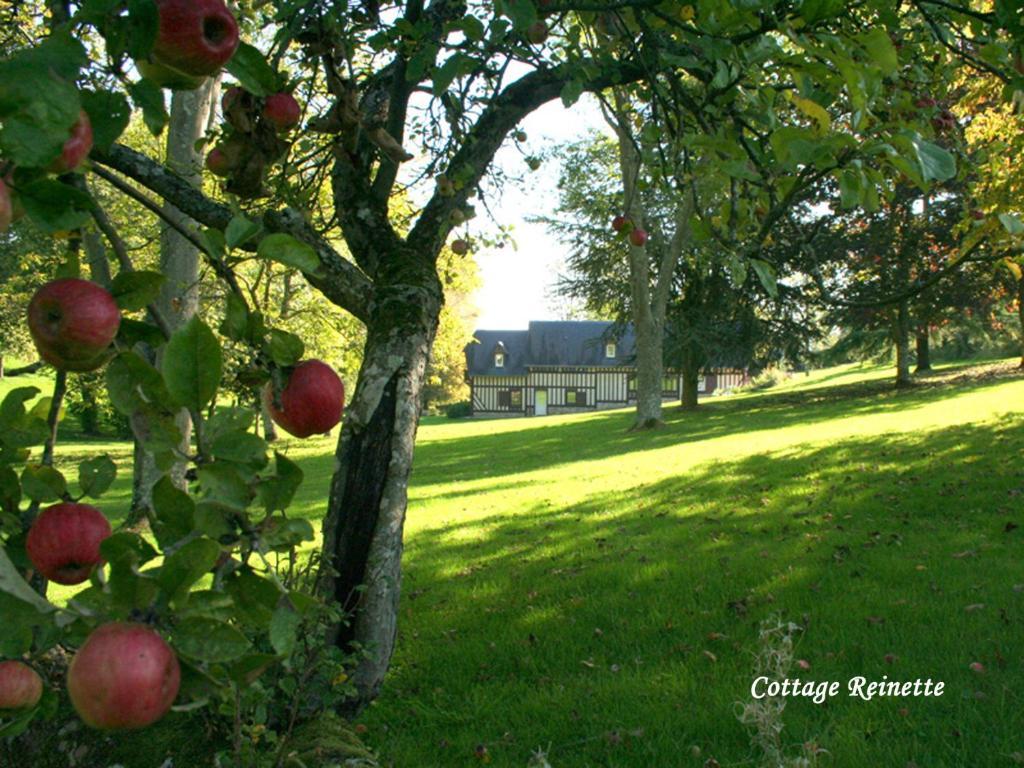 Les Fermes De Florence Bien Etre Et Nature Les Champeaux Δωμάτιο φωτογραφία